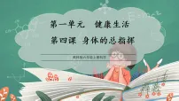科学4. 身体的“总指挥”教学ppt课件