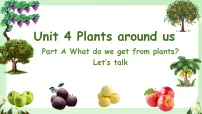 小学英语Unit 4 Plants around us Part A优秀ppt课件