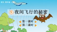 语文四年级上册（2024）5 夜间飞行的秘密评课ppt课件