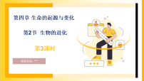 初中科学浙教版（2024）九年级上册（2024）第2节 生物的进化背景图课件ppt