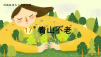 统编版（2024）六年级上册（2024）17* 青山不老背景图课件ppt