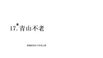 小学语文统编版(2024)六年级上册(2024)17* 青山不老教案配套课件ppt
