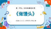 科学青岛版(六三制)(2024)第一单元 生命的微观世界5 做馒头教学课件ppt