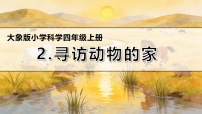 科学四年级上册（2024）2 寻访动物的家教学ppt课件