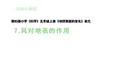 小学科学教科版（2024）五年级上册（2024）7. 风对地表的作用教案配套ppt课件