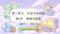 小学科学冀人版（2024）六年级上册（2024）第二单元 无处不在的能6 植物与能量课文内容ppt课件