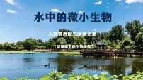 小学科学人教鄂教版（2024）五年级上册（2024）水中的微小生物优秀ppt课件