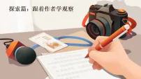 小学语文统编版(2024)三年级上册(2024)14 搭船的鸟评课ppt课件