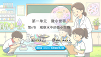 小学教科版（2024）7. 微生物与人类授课课件ppt