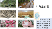 大象版（2024）六年级上册（2024）5 气象灾害教学课件ppt